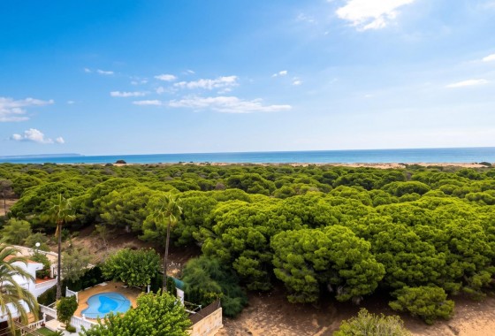 Apartamento / piso - Reventa - Guardamar del Segura - Lomas de Polo-Pinomar