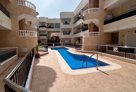 Apartamento / piso - Reventa - Jacarilla - Jacarilla