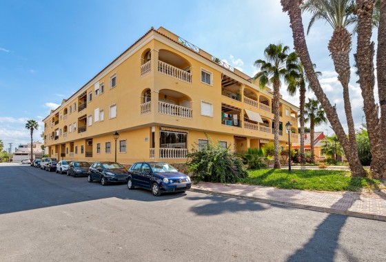 Apartamento / piso - Reventa - Jacarilla - Wil-18930