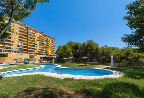 Apartamento / piso - Reventa - Orihuela Costa - Altos de Campoamor