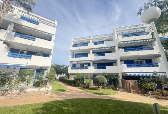 Apartamento / piso - Reventa - Playa Flamenca - Playa Flamenca