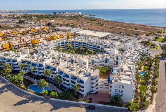Apartamento / piso - Reventa - Playa Flamenca - Playa Flamenca
