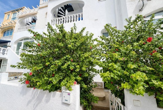 Apartamento / piso - Reventa - San Miguel de Salinas - Las filipinas