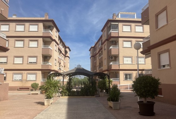 Apartment / flat - Resale - Algorfa - Algorfa