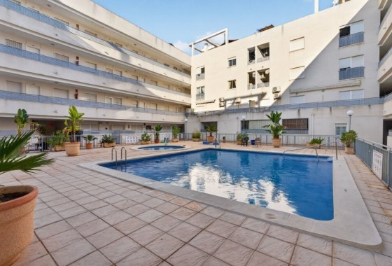Apartment / flat - Resale - Almoradí - Costa Blanca