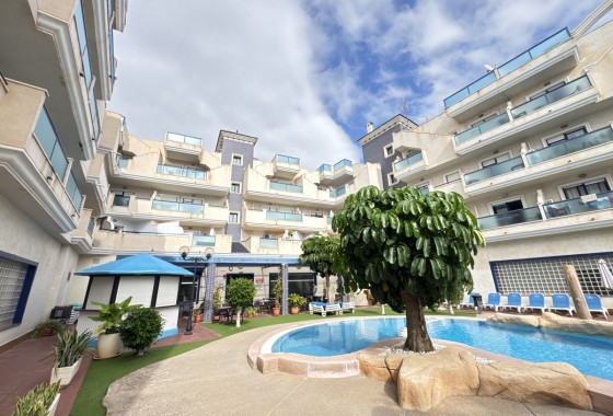 Apartment / flat - Resale - Cabo Roig - SHO-82941