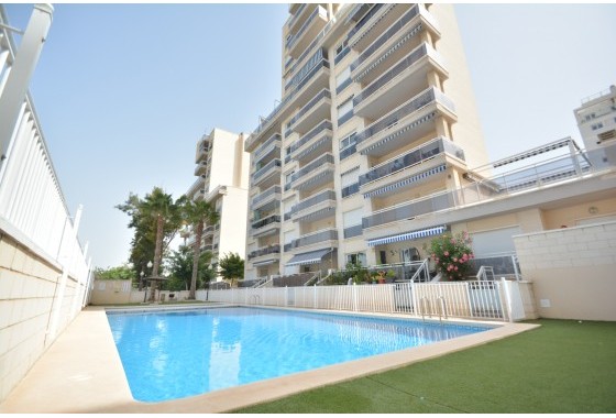 Apartment / flat - Resale - Guardamar del Segura - Costa Blanca