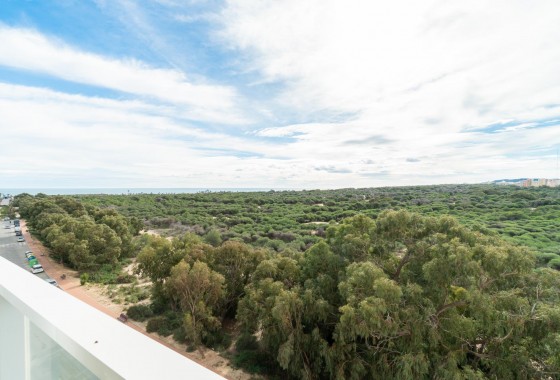 Apartment / flat - Resale - Guardamar del Segura - Puerto Deportivo