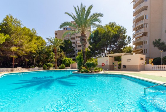 Apartment / flat - Resale - Orihuela Costa - Campoamor