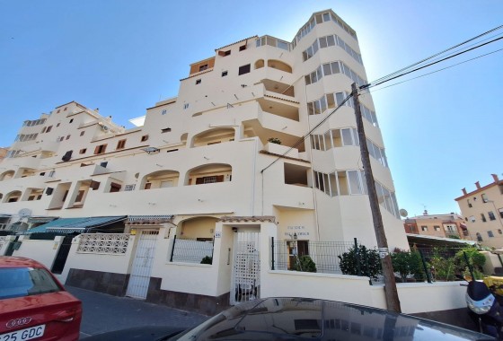 Apartment / flat - Resale - Torrevieja - Nueva Torrevieja