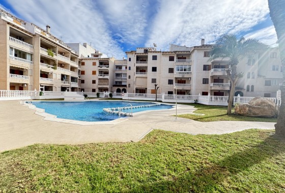 Apartment / flat - Resale - Torrevieja - SHO-35436