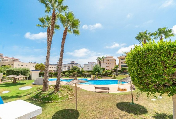 Appartement - Location à long terme - Torrevieja - La Mata