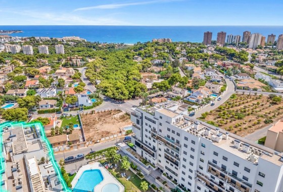 Appartement - Revente - Dehesa de campoamor - Campoamor