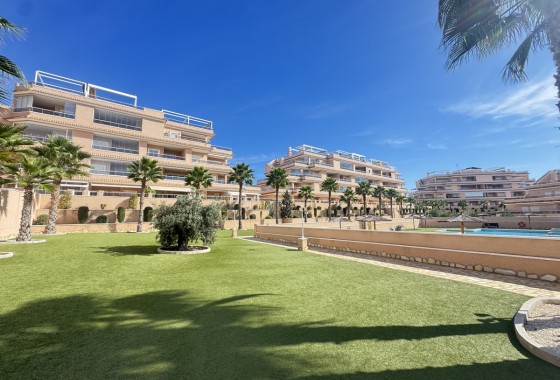 Appartement - Revente - Villamartin - Villamartin