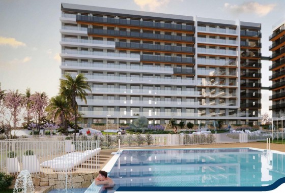 Ático - Nueva construcción  - Torrevieja - Punta prima