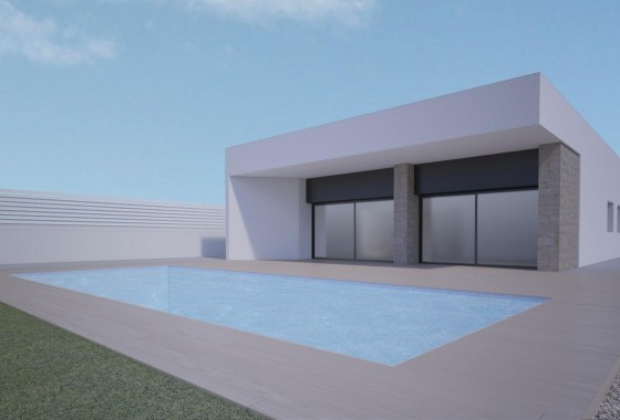 Chalet - Nueva construcción  - Aspe - Centro