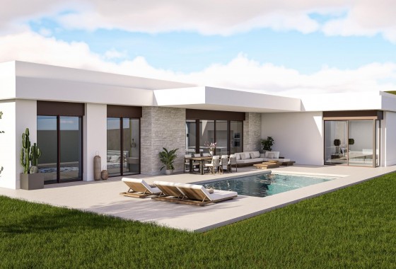 Chalet - Nueva construcción  - Pinoso - Lel