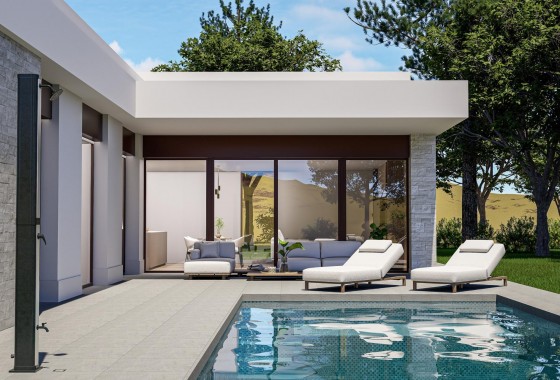 Chalet - Nueva construcción  - Pinoso - Lel