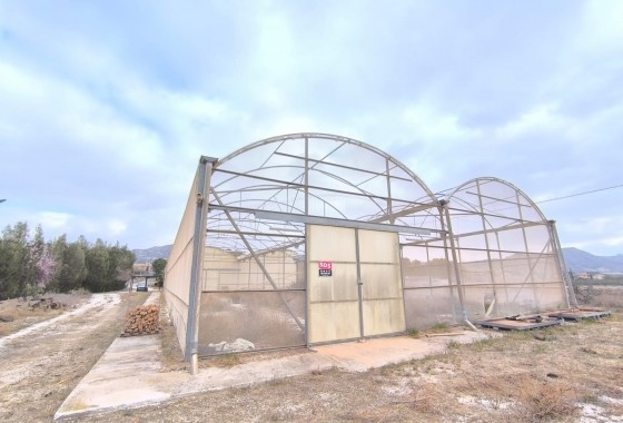 Comercial - Reventa - Aspe - Inland