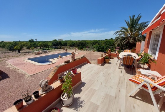 Country Property/Finca - Resale - San Miguel de Salinas - San Miguel de Salinas