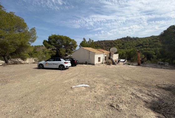 Country Property/Finca - Resale - Torremendo - Torremendo
