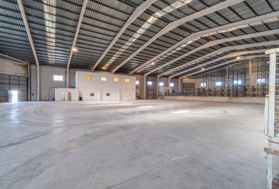 Industrial unit - Long Term Rental - Pilar de la Horadada - Polígono industrial Cañada de Práez