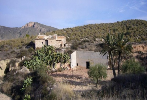 Other - Reventa - Macisvenda - Inland