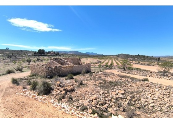 Other - Reventa - Pinoso - Inland