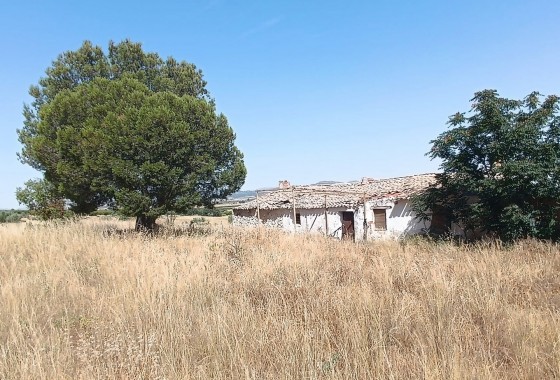 Other - Reventa - Yecla - Inland