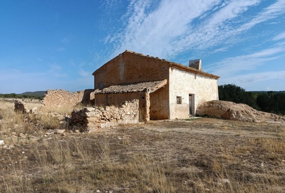 Other - Reventa - Yecla - Inland
