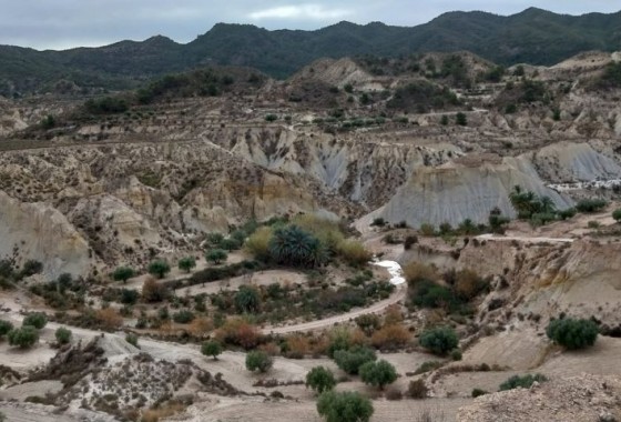 Parcela / Terreno - Reventa - Abanilla - Abanilla