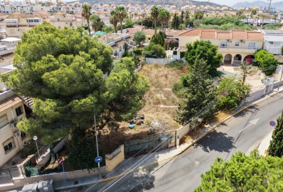 Parcela / Terreno - Reventa - Algorfa - Inland