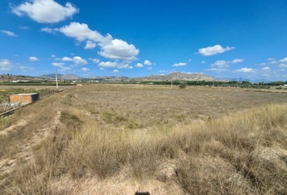 Parcela / Terreno - Reventa - Hondón de las Nieves - Hondón de las Nieves