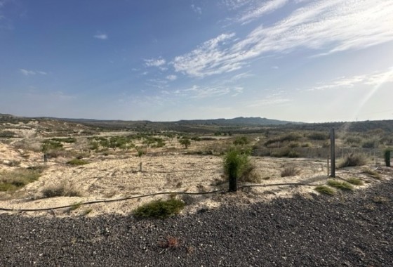 Plot of Land - Reventa - Torremendo - Torremendo