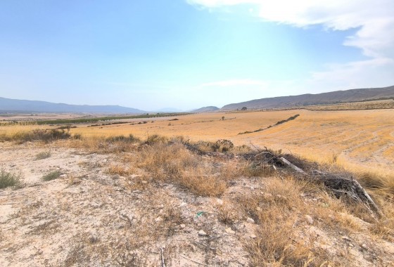 Property - Resale - Jumilla - Inland