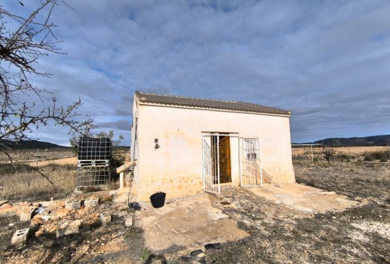 Property - Resale - Yecla - Inland
