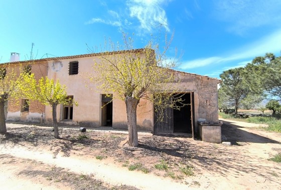 Property - Resale - Yecla - Inland