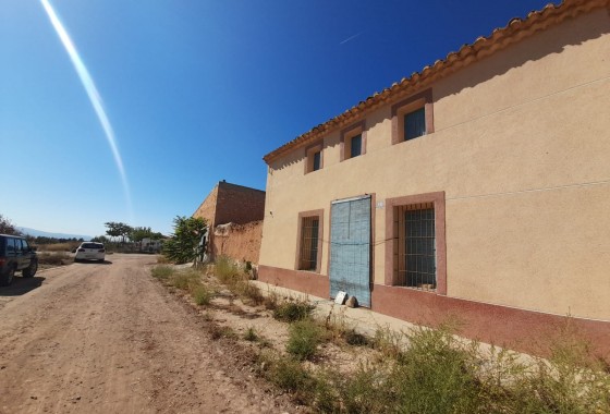 Property - Revente - Pinoso - Inland