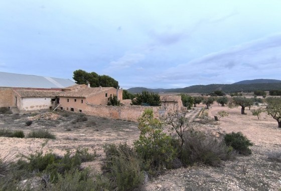 Property - Revente - Villena - Inland