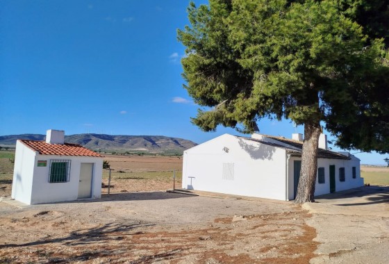Property - Revente - Yecla - Inland