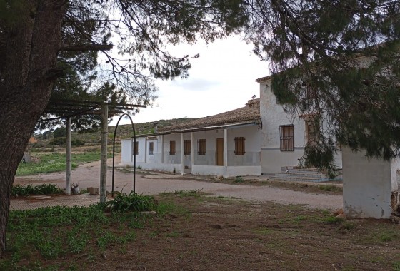 Property - Revente - Yecla - Inland