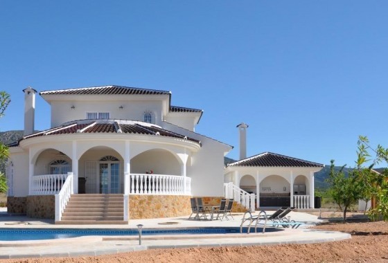 Villa - New Build - Pinoso - Lel