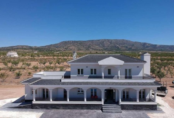 Villa - New Build - Pinoso - NB-91552