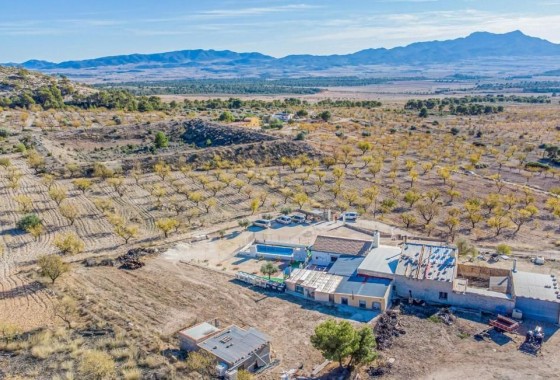 Villa - Revente - Jumilla - Inland
