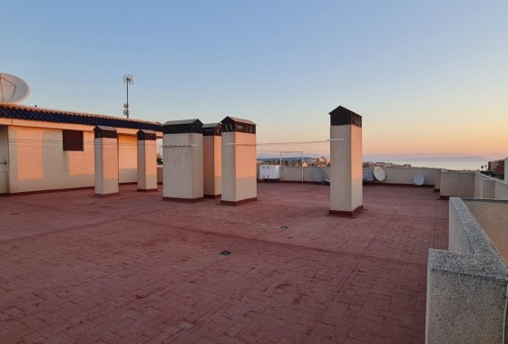 Revente - Appartement - Torrevieja - LA MATA
