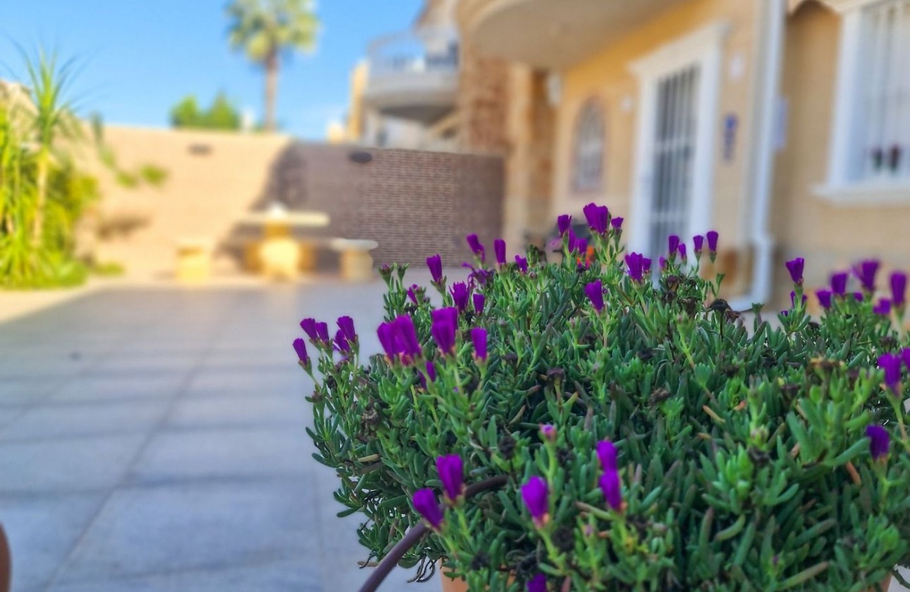 Reventa - Chalet - Torrevieja - Aguas nuevas 1