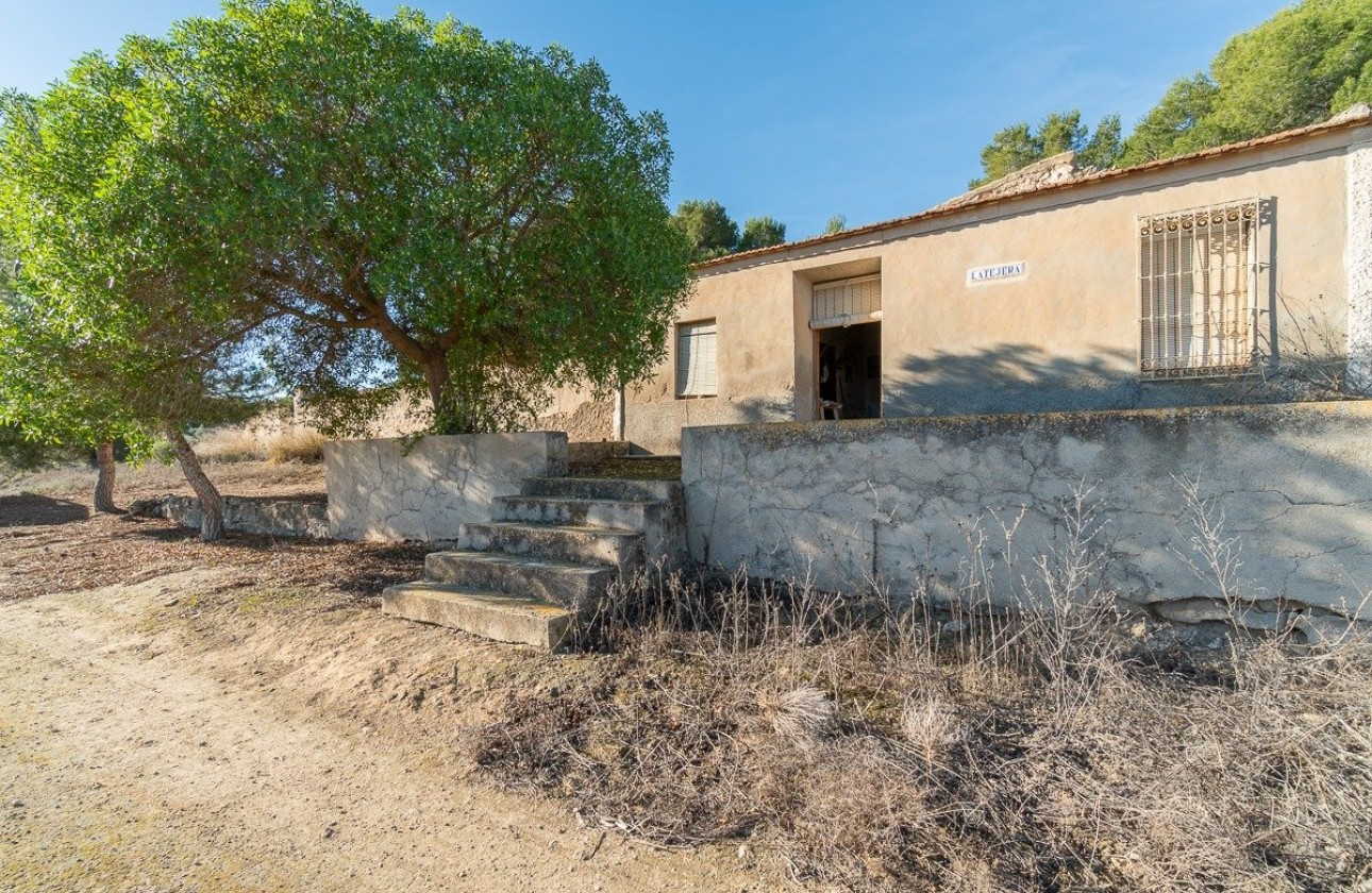 Reventa - Country house - Pilar de la Horadada - Pinar de la Perdiz