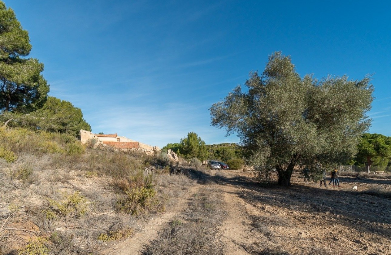 Resale - Country house - Pilar de la Horadada - Pinar de la Perdiz