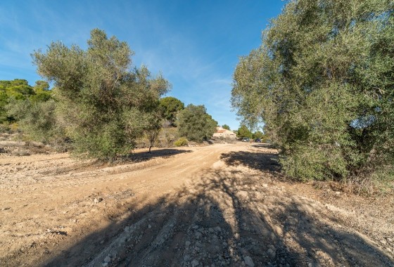 Reventa - Country house - Pilar de la Horadada - Pinar de la Perdiz