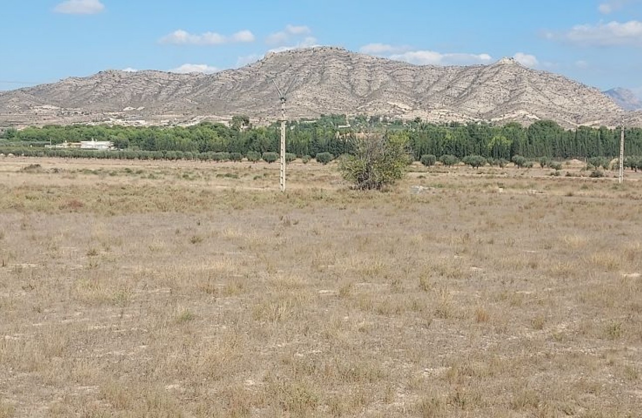 Reventa - Parcela / Terreno - Hondón de las Nieves